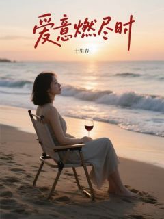《爱意燃尽时》精彩章节列表在线试读 宋暖贺瑞阳何雨佳小说