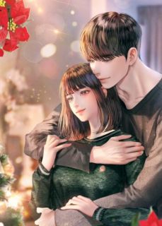 《假如我不曾爱过你》小说全文精彩阅读 《假如我不曾爱过你》最新章节目录