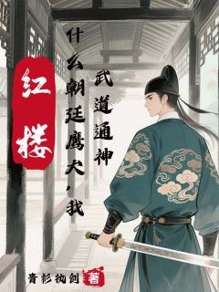 红楼:什么朝廷鹰犬,我武道通神