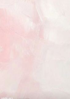 恶毒前妻重生后,状元他求虐