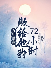 五年爱意败给他的72小时