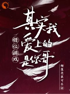 错位游戏,其实我爱上的是你哥