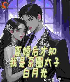离婚后才知我是京圈太子白月光