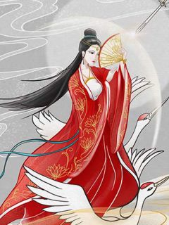 《青杏》清淼佩香章节免费试读