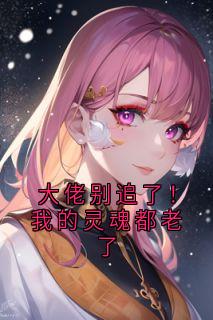 大佬别追了!我的灵魂都老了