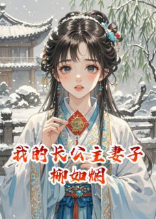 我的长公主妻子柳如烟