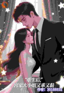 《重生后,宫家大小姐又乖又黏》小说完结版在线试读 宫浅茉司徒卫小说全文
