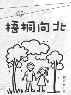 梧桐向北