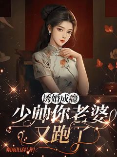 诱婚成瘾:少帅你老婆又跑了