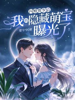 闪婚贺少后,我的隐藏萌宝曝光了