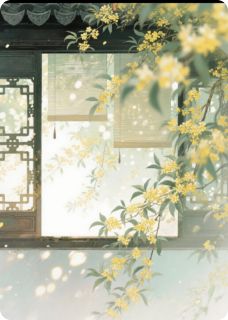 皎皎卿月(裴青曼林瑾)全文完结免费试读精彩章节