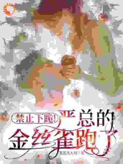 娱乐公司想榨我？老板却私下求复合小说试读 苏简严少彦小说全文章节列表