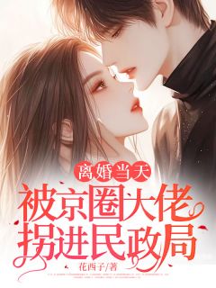 离婚当天被京圈大佬拐进民政局