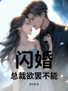 闪婚，总裁欲罢不能