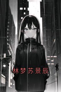 林梦苏景辰