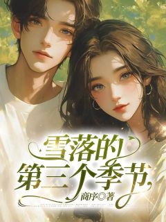 雪落的第三个季节