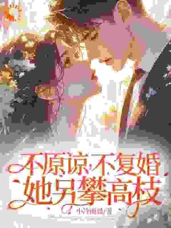 她不原谅你乔未晞