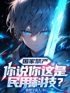 国家禁产,你说你这是民用科技?