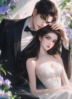 《落日余烬，青松未凋》小说精彩阅读 《落日余烬，青松未凋》最新章节列表