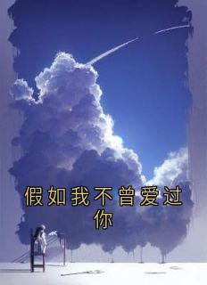 假如我不曾爱过你