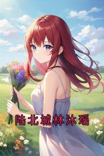 陆北城林沐瑶