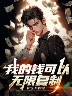 顾清雅苏阳货币转换