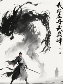 我站在丹武巅峰