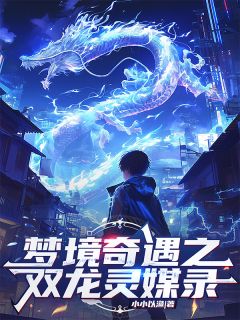 梦境奇遇之双龙灵媒录