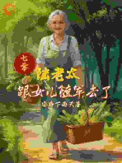 七零,陆老太跟女儿随军去了