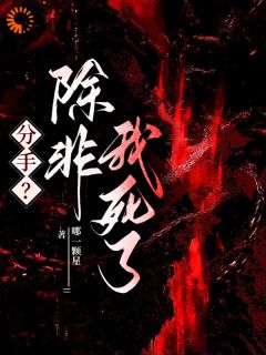 被病娇学霸盯上后，我被他锁死了全文在线阅读 于舒宝陈津南小说全本无弹窗