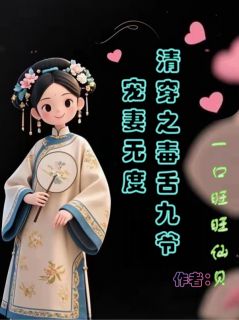 清穿之毒舌九爷宠妻无度