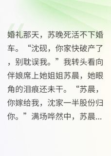 新娘不下车,我转脸娶了她姐姐(主角苏晨苏晚) 新娘不下车,我转脸娶了她姐姐免费试读