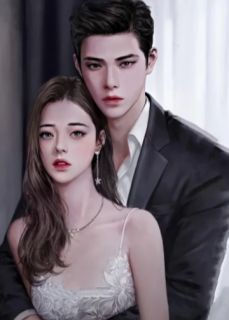 《可惜我们已不再相爱》小说全文免费阅读 宋清宴林半夏夏霜凝小说阅读