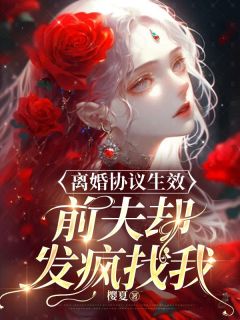 苏沫傅屹川小说 苏沫傅屹川免费阅读