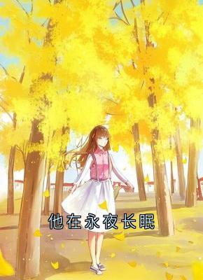 他在永夜长眠主角时砚清苏娆小说精彩章节全文免费试读