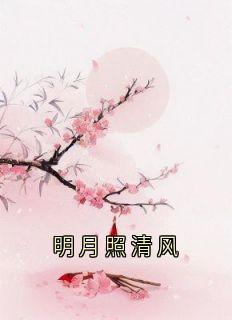 明月照清风