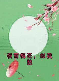 夜雪梅花，似我愁