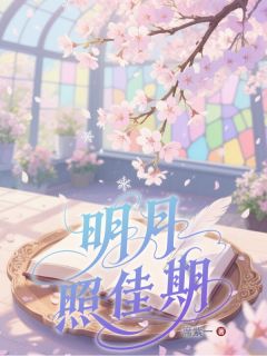 明月照佳期贝翎舒心目录 明月照佳期小说阅读
