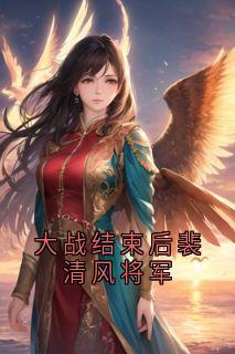 大战结束后裴清风将军