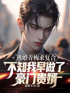 五一假期我带着一岁多的儿子从国外回来霍玉林阮栀栀阮宴礼小说精彩内容在线阅读