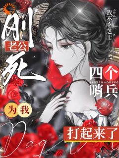 弹幕护体!E级向导玩转3S世界