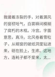 《我在冷宫搞内卷，卷哭整个后宫》沈秋棠苏晴全文免费试读