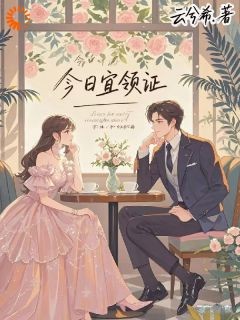 《今日宜领证》许书画唐盛铭小说全部章节目录