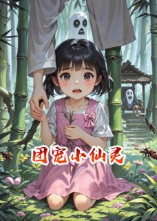 《团宠小仙灵》苏慕辰灵儿小说精彩章节在线阅读