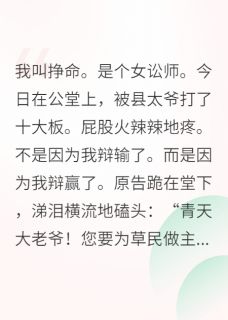 我在古代当律师,状告当朝宰相