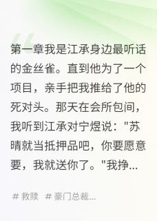 宁煜江承小说 《被送人的那晚我怀孕了》小说全文免费试读