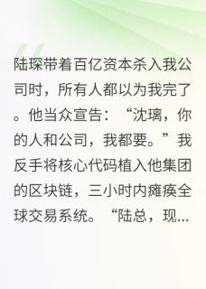 代码女王驯服资本巨鳄最新章节 沈璃陆琛大结局免费在线阅读