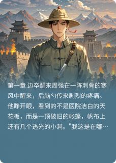 《老婆要不要，要就娶十个老婆》周强柳燕王英章节列表在线阅读