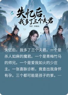 失忆后,我多了三个夫君