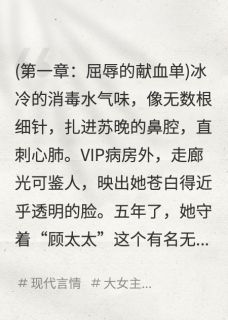 《离婚当天,五个大佬排队喊大嫂》小说章节免费阅读 苏晚顾沉舟林薇薇小说阅读